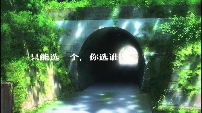 只能选一个，你选谁？