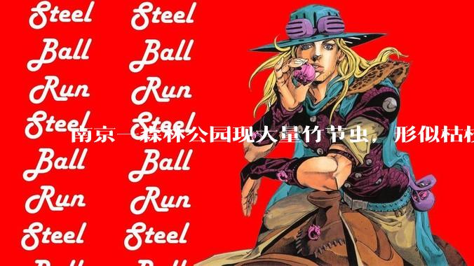 南京一森林公园现大量竹节虫，形似枯枝，网友称凑近才发现是虫子落荒而逃，竹节虫会不会咬人？碰到它会怎样？
