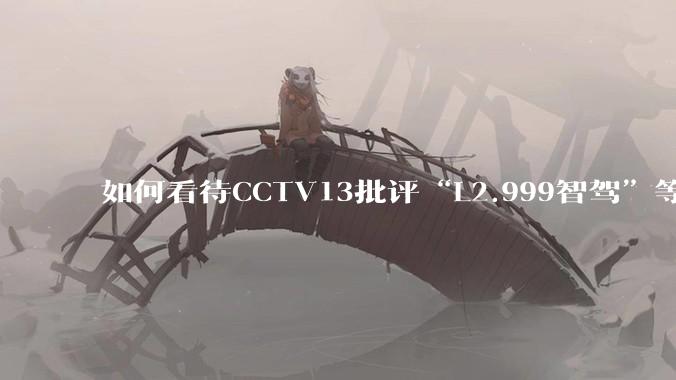 如何看待CCTV13批评“L2.999智驾”等误导性宣传，若导致事故车企可能需要担责？