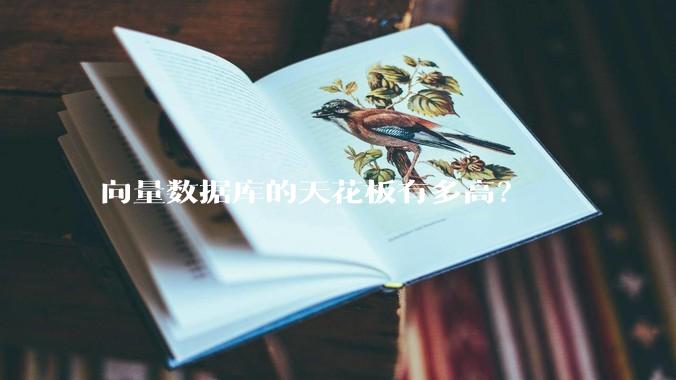 向量数据库的天花板有多高？