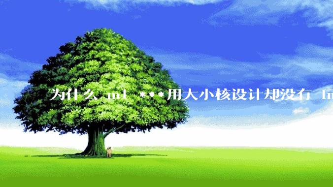 为什么 m1 ***用大小核设计却没有 intel 的问题？